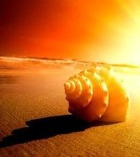 Схема вышивки «Ракушка»