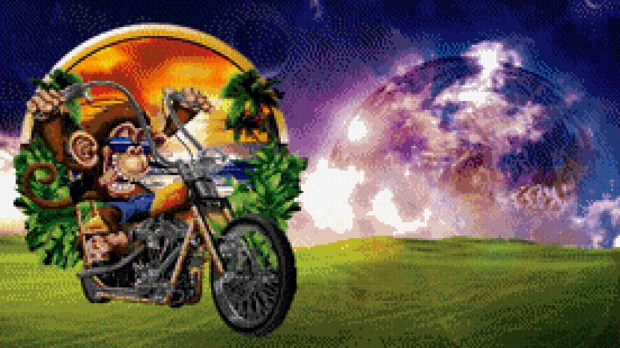 Мартышка и портал - предпросмотр