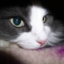 Схема вышивки «kkk»