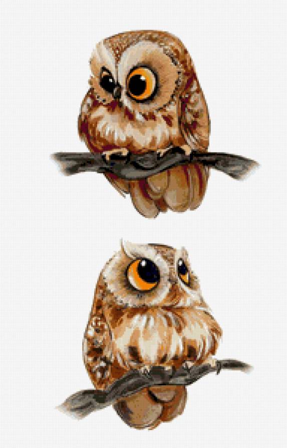 совушки - предпросмотр