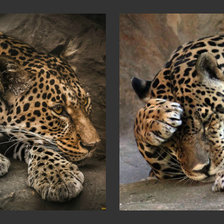 Схема вышивки «№936669»