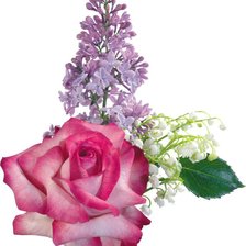 Схема вышивки «сирень и розы»