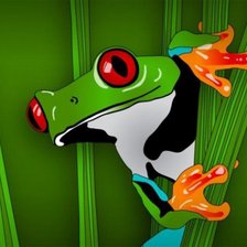 Схема вышивки «rana»