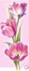 Схема вышивки «tjuljpani»