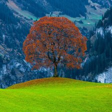 Схема вышивки «Осень»