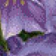 Предпросмотр схемы вышивки «Колокольчики» (№937355)