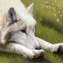 Схема вышивки «Волк»