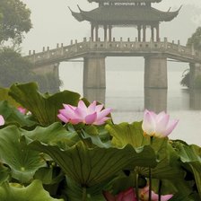 Схема вышивки «№937735»