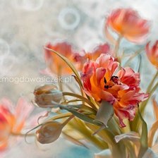 Схема вышивки «цветы»