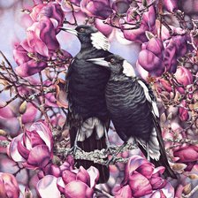 Схема вышивки «птицы»