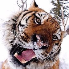 Схема вышивки «№937911»