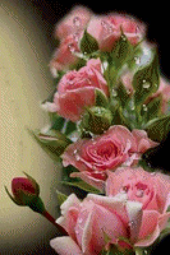 Розы - розы, цветы - предпросмотр