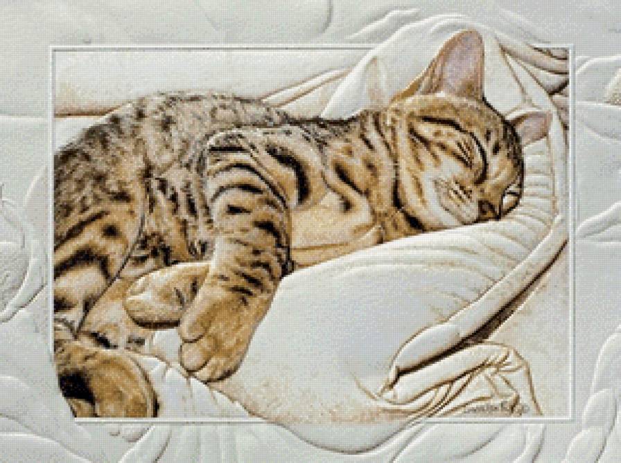 Серия "В рамке" - котенок, сладкий сон, домашние животные - предпросмотр