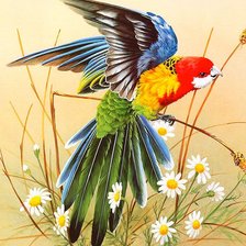 Схема вышивки «попугай»