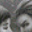 Предпросмотр схемы вышивки «Черно-белое чувство» (№938288)
