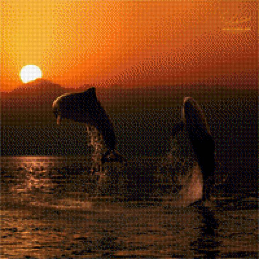 дельфины на закате - предпросмотр