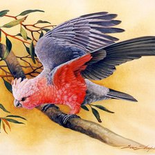 Схема вышивки «птица на ветке»