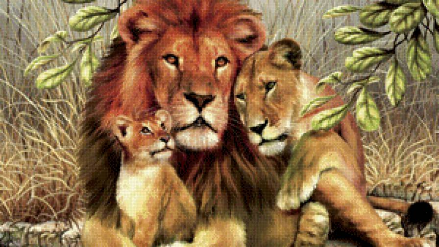 прайд - лев, хищник, кошка - предпросмотр