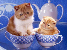 Схема вышивки «два котика в кружечках»