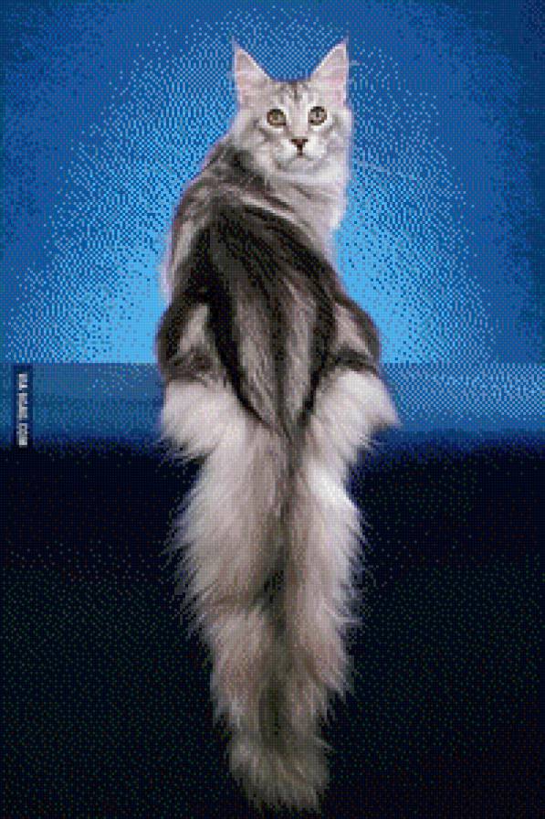 Киса - кошка - предпросмотр