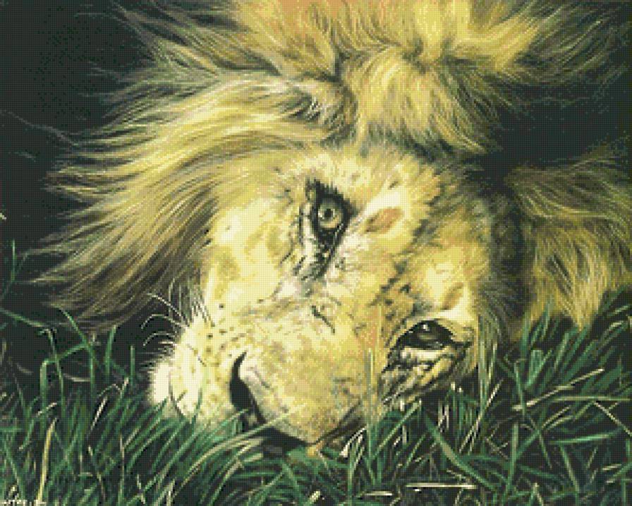красавец лев - животное, лев, кошка, картина - предпросмотр