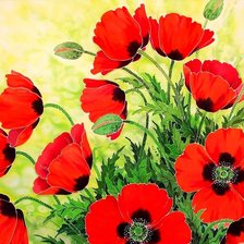 Схема вышивки «красные маки»