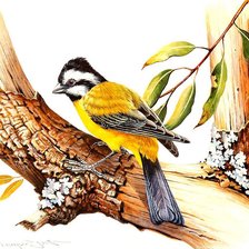 Схема вышивки «птица на дереве»