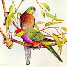 Схема вышивки «пара птиц на ветке»