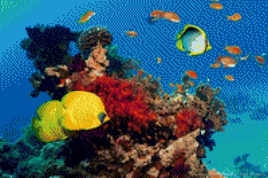 п13в13ный мир - предпросмотр