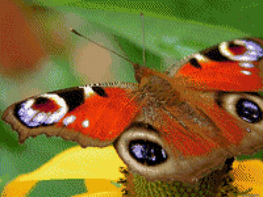 баб - предпросмотр