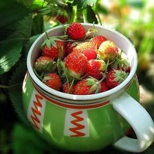 Схема вышивки «№939512»