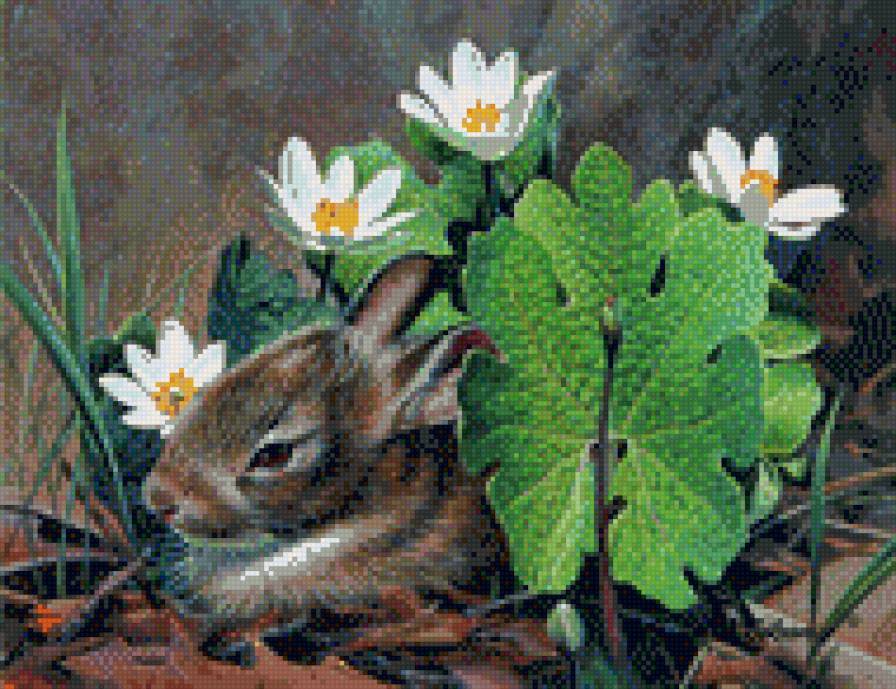 213 - природа, животные, картина, красота, заяц - предпросмотр