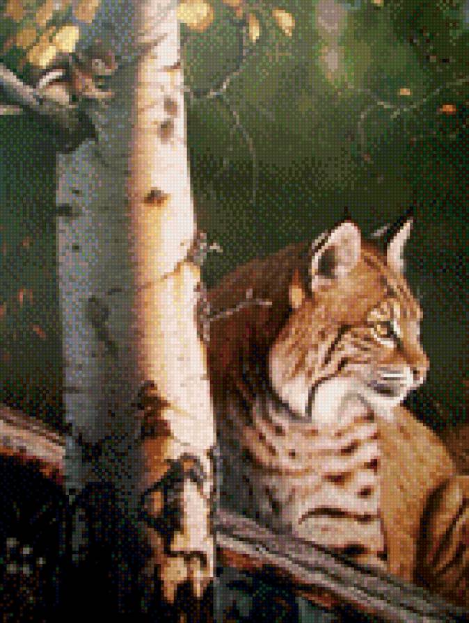 214 - картина, животные, природа, рысь, красота, кошка - предпросмотр