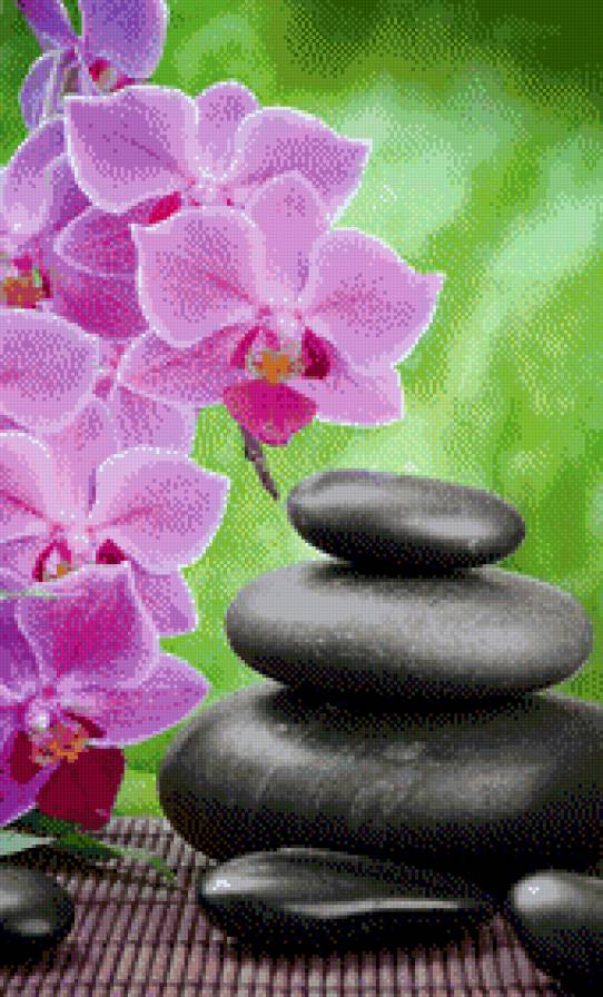 спа - цветы, камни - предпросмотр
