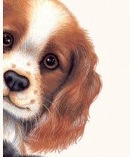 Схема вышивки «Трое»