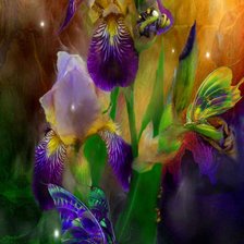 Схема вышивки «Ирисы»