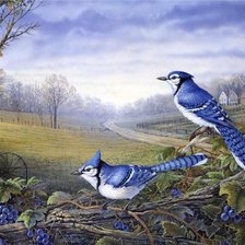 Схема вышивки «№940087»