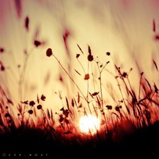 Схема вышивки «Закат»