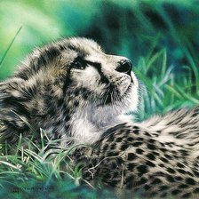 Схема вышивки «гепард в траве»