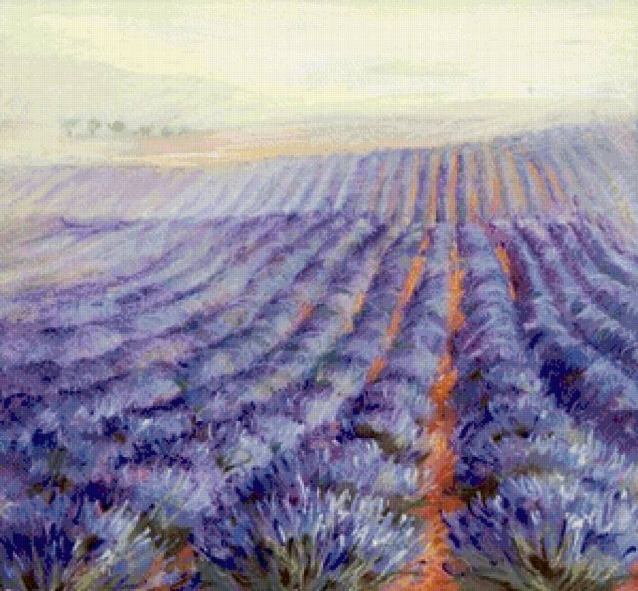 лавандовые поля в провансе - пейзаж, природа, лаванда, живопись, лето, цветы, прованс - предпросмотр