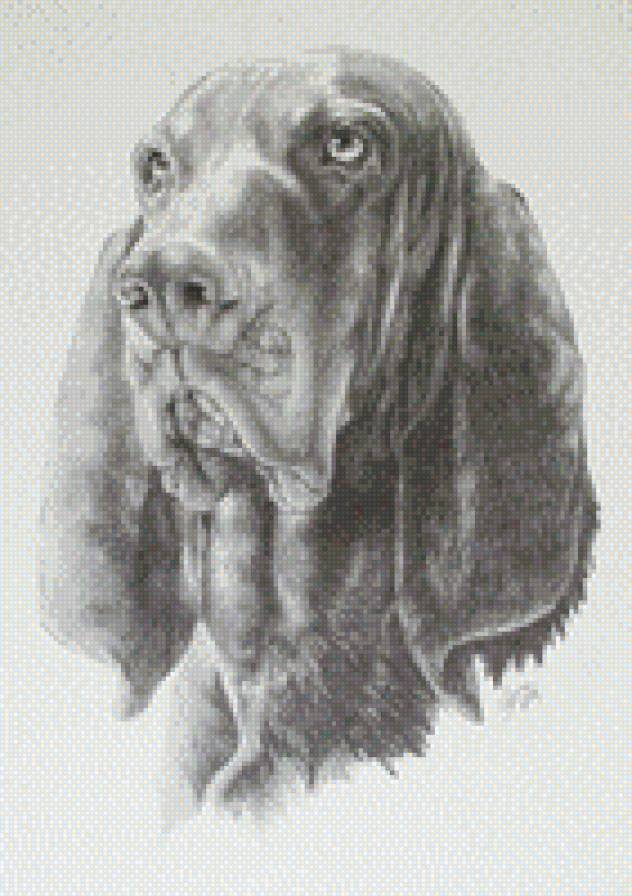 Собака - монохром, собака, животные - предпросмотр