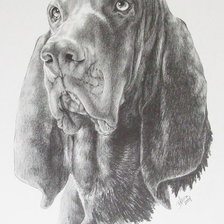 Схема вышивки «Собака»