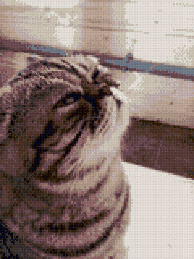 Гоша - предпросмотр