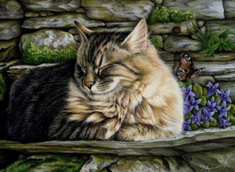 котейка - предпросмотр