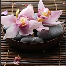 Схема вышивки «Орхидеи»