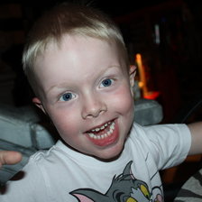 Схема вышивки «роид»