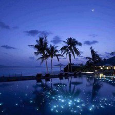 Схема вышивки «Ночь»