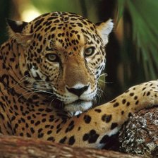 Схема вышивки «№941346»