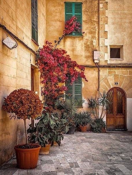 Дворик - двор цветы - оригинал