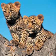 Схема вышивки «№941357»